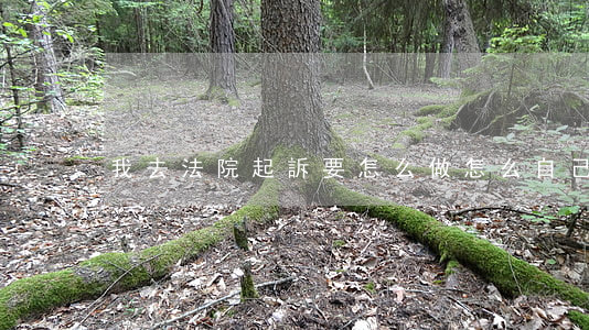 我去法院起訴要怎么做(怎么自己去法院起訴)