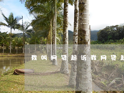 我叫网贷起诉我(网贷起诉我了)