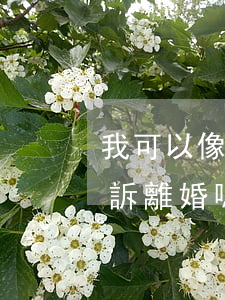我可以像法院起訴離婚嗎(可以直接去法院起訴離婚嗎?)