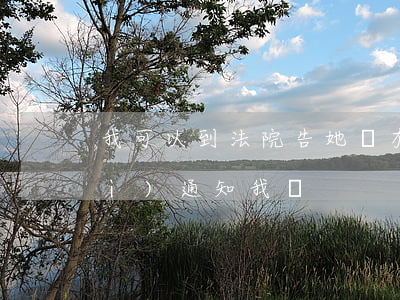 我可以到法院告她嗎(有人告我法院會(huì)通知我嗎)