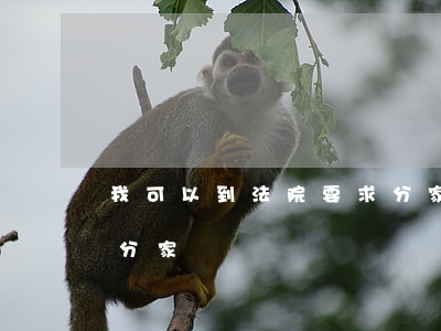 我可以到法院要求分家嗎(律師可以幫助家庭分家嗎)