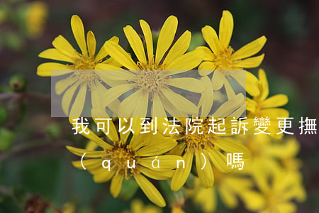 我可以到法院起訴變更撫養(yǎng)權(quán)嗎