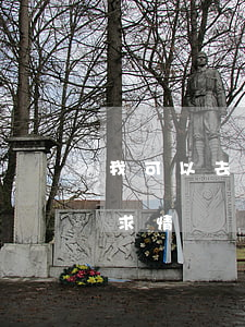 我可以去法院求情嗎(法庭上家屬怎么向法官求情)