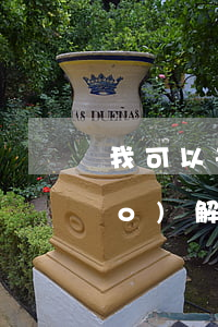 我可以去法院申請(qǐng)調(diào)解嗎(去法院調(diào)解需要注意什么)