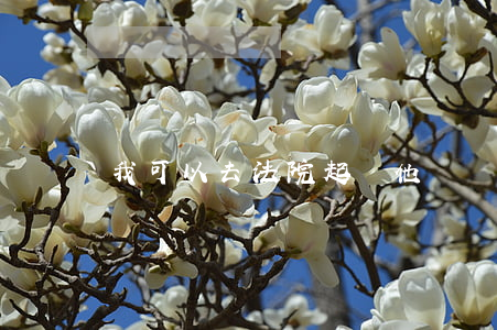 我可以去法院起訴他們嗎(可以直接去法院起訴嗎)