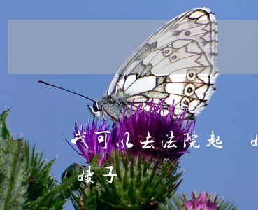 我可以去法院起訴嫂子嗎(我可以去法院起訴嫂子嗎)