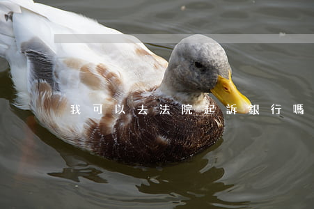 我可以去法院起訴銀行嗎