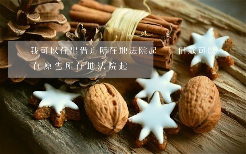 我可以在出借方所在地法院起訴嗎(借款可以在原告所在地法院起訴嗎)