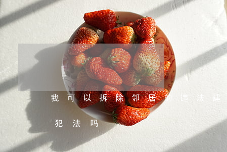 我可以拆除邻居的违法建筑吗(拆除邻居违建犯法吗)