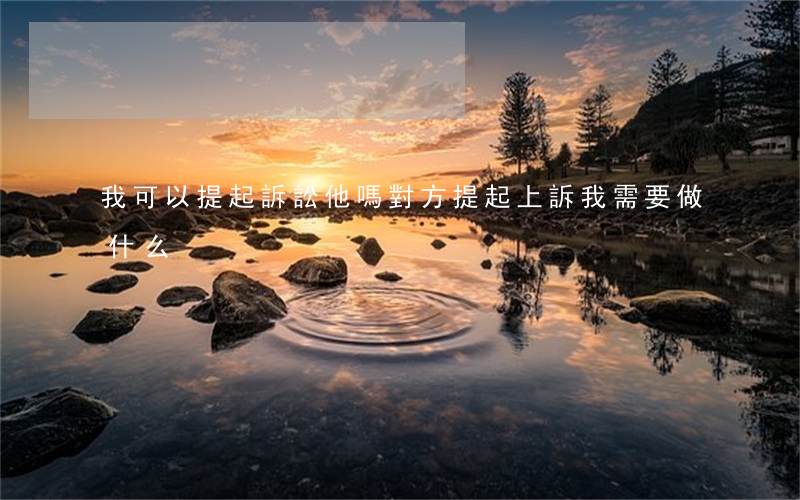 我可以提起訴訟他嗎(對方提起上訴,我需要做什么)