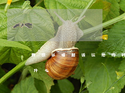 我可以提起诉讼他吗(对方提起上诉,我需要做什么)