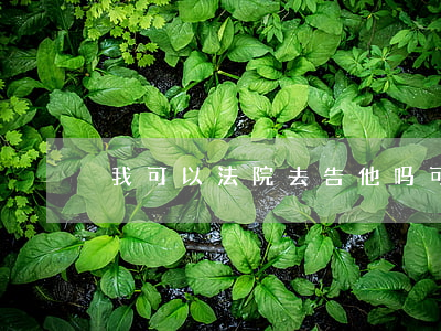 我可以法院去告他吗(可以直接告到法院吗)
