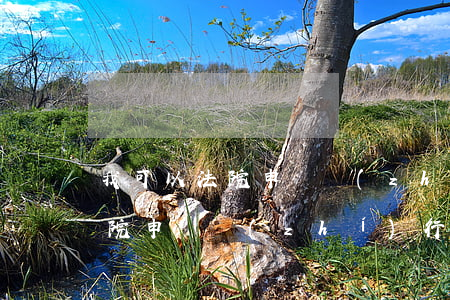 我可以法院申請執(zhí)行嗎(向哪個法院申請執(zhí)行)