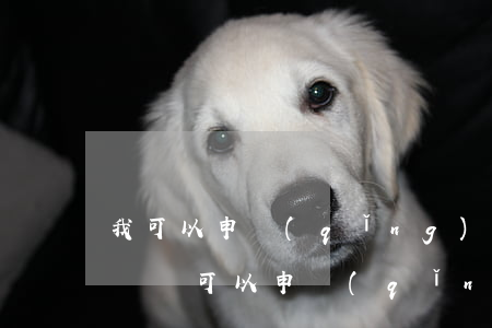 我可以申請(qǐng)法院封他的房子拍賣嗎(可以申請(qǐng)阻止法院拍賣房子嗎)