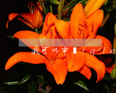 我可以申請(qǐng)法院給我賣嗎