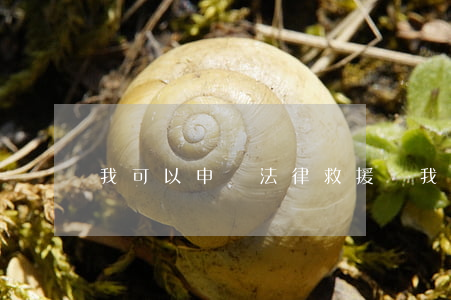 我可以申請法律救援嗎(我可以申請法律救援嗎)