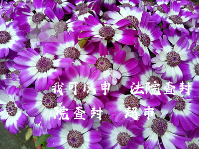 我可以申請法院查封該超市嗎(我可以申請法院查封該超市嗎)