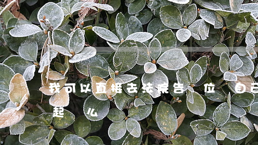 我可以直接去法院告單位嗎(自己可以去法院起訴么)