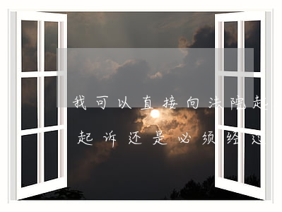 我可以直接向法院起诉讼吗(可以直接上法院起诉还是必须经过律师起诉)