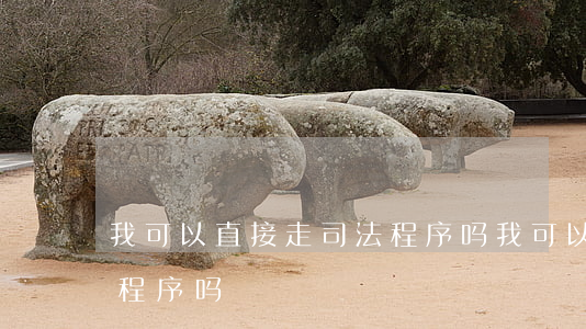 我可以直接走司法程序吗(我可以直接走司法程序吗)