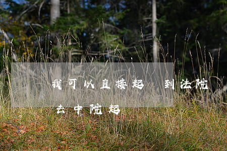 我可以直接起訴到法院嗎(民事訴訟可以直接去中院起訴嗎)