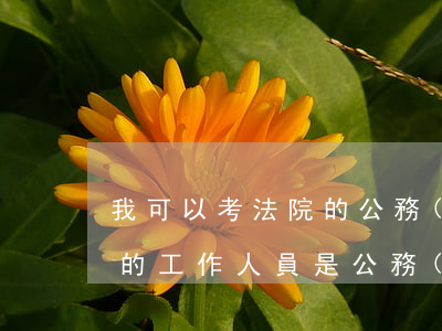 我可以考法院的公務(wù)員職位嗎(法院的工作人員是公務(wù)員嗎)