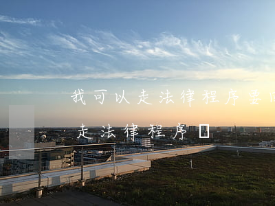 我可以走法律程序要回來嗎(走司法程序就是走法律程序嗎)