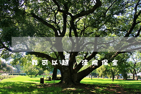 我可以起訴法院保全錯誤嗎