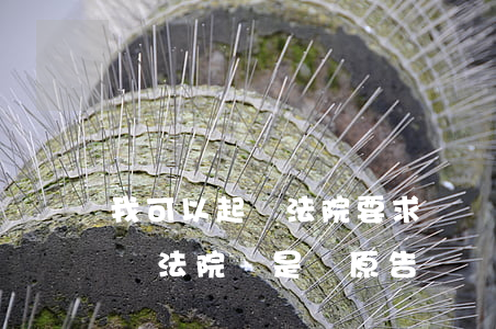 我可以起訴法院要求賠償損失嗎(民事賠償是給法院還是給原告)