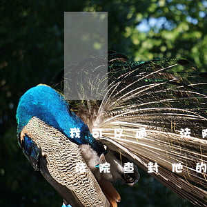 我可以通過法院查封他的工地嗎(我可以通過法院查封他的工地嗎)