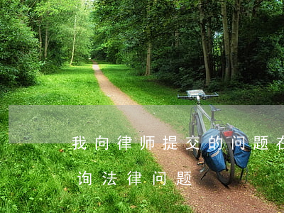 我向律师提交的问题在哪里找(怎么找律师咨询法律问题)