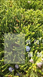我向法院申请强制执行可以吗(我向法院申请强制执行可以吗)