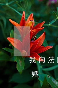 我向法院起訴離婚可以嗎(在法院怎么起訴離婚)