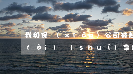 我和保險(xiǎn)公司被起訴訴訟費(fèi)誰(shuí)拿(保險(xiǎn)公司是否承擔(dān)訴訟費(fèi)用)