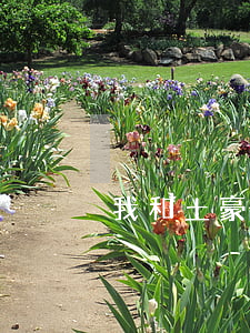 我和土豪老公剛離婚(富豪丈夫要離婚完整版)