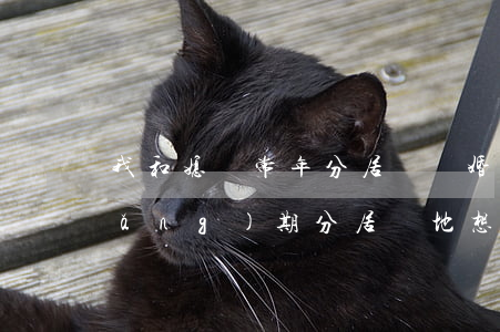 我和媳婦常年分居該離婚嗎(和老公長(zhǎng)期分居兩地想離婚)