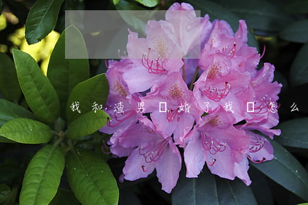 我和渣男離婚了我該怎么辦