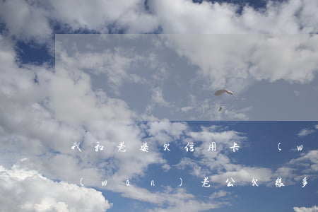 我和老婆欠信用卡網(wǎng)貸17萬(wàn)(老公欠很多信用卡網(wǎng)貸我要離婚嗎)