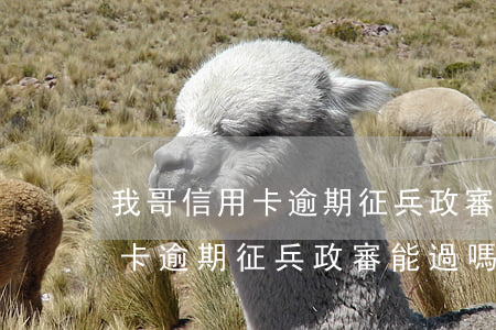 我哥信用卡逾期征兵政審能過嗎-我哥信用卡逾期征兵政審能過嗎知乎