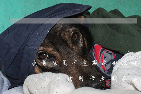 我哥信用卡逾期收到法院傳票(欠農(nóng)行信用卡逾期收到法院傳票后,怎么跟他們溝通)