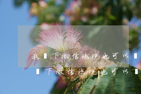 我問下微信法院也可以凍結(jié)嗎(我問下微信法院也可以凍結(jié)嗎)