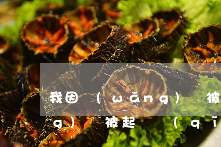 我因網(wǎng)貸被起訴 因網(wǎng)貸被起訴請(qǐng)問(wèn)我在外地呢請(qǐng)我該怎么辦