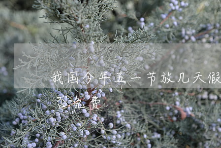 我国今年五一节放几天假（五一劳动节高速是否免费）