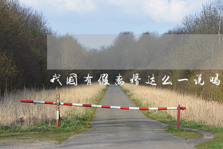 我国有假离婚这么一说吗？