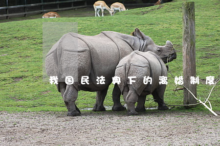 我国民法典下的离婚制度