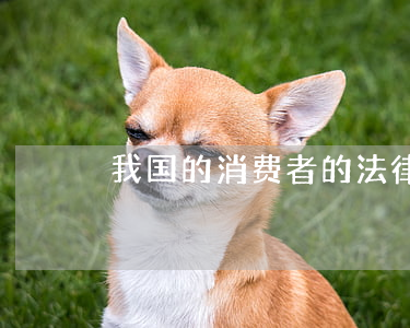 我国的消费者的法律特征是什么
