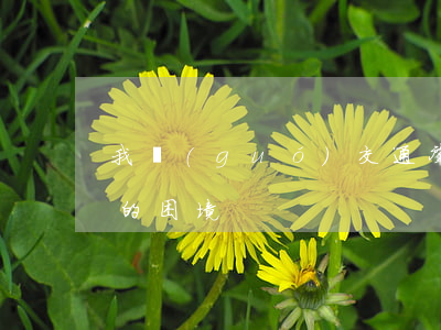 我國(guó)交通肇事罪立法和司法解釋的困境