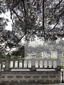 我國(guó)信用卡逾期金額是什么意思-我國(guó)信用卡逾期金額是什么意思啊