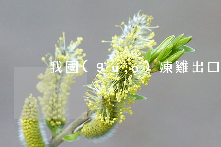 我國(guó)凍雞出口受阻