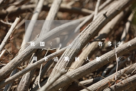 我國(guó)有多少人信用卡逾期(目前信用卡逾期的人數(shù))